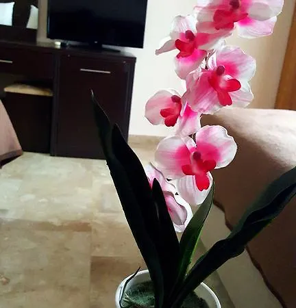 Ali Baba Hotel
