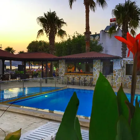 Ali Baba Hotel