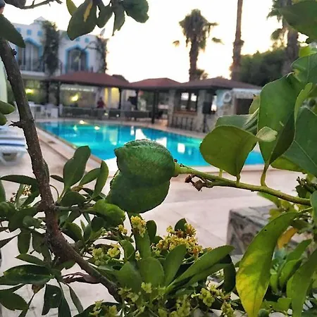 Hotell Ali Baba 3*